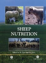 Sheep Nutrition