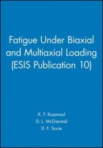 Fatigue Under Biaxial and Multiaxial Loading (ESIS Publication 10)