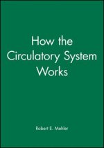 How the Circulatory System Works