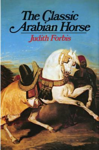 Classic Arabian Horse