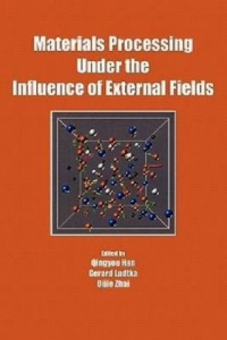 Materials Processing Under the Influence of External Fields