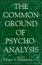Common Ground of Psychoanalysis