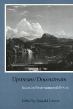 Upstream/Downstream