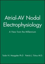 Atrial-AV Nodal Electrophysiology - A View from the Millennium