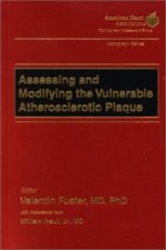 Assessing and Modifying the Vulnerable Atherosclerotic Plaque