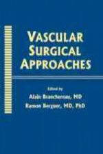 Vascular Surgical Approaches