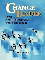 Change Leader - Using A Gestalt Approach with Work Groups