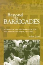 Beyond the Barricades