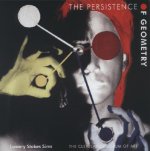 Persistence of Geometry