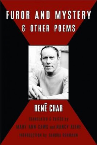 Furor and Mystery and Other Poems