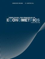 Using Excel for Principles of Econometrics, Fourth  Edition