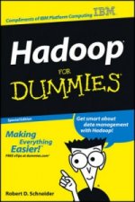 Hadoop For Dummies (Custom)