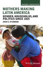 Mothers Making Latin America - Gender, Households,  and Politics Since 1825