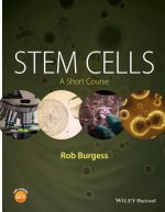 Stem Cells - A Short Course