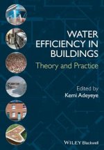 Water Efficiency in Buildings - Theory and Practice