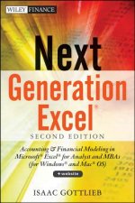 NEXT GENERATION EXCEL, Second Edition +Website - Modeling in Microsoft Excel for Analysts and MBAS (for Windows and Mac OS)