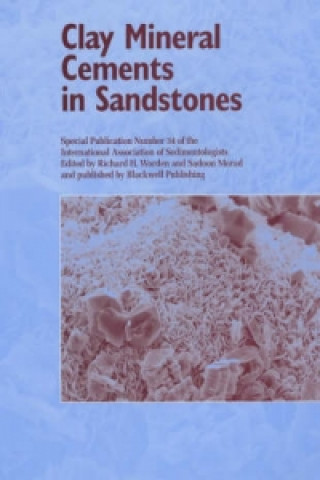 Clay Mineral Cements in Sandstones - Special Publication 34 of the IAS