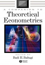 Companion to Theoretical Econometrics