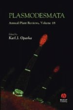 Plasmodesmata V18