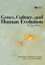 Genes, Culture, and Human Evolution: A Synthesis