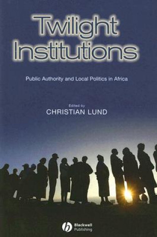 Twilight Institutions - Public Authority and Local Politics in Africa