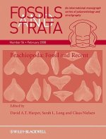 Brachiopoda - Fossil and Recent Fossils and Strata V54