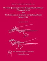 Early Jurassic pterosaur Dorygnathus banthensis (Theodori, 1830) and The Early Jurassic pterosaur Campylognathoides Strand, 1928