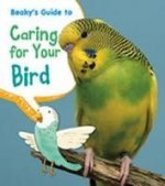 Pets Guides Pack B of 6