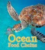 Food Webs Pack A of 5 HB