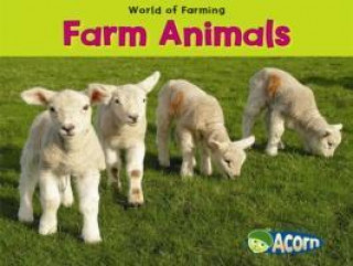 Farm Animals