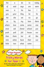 Fridge Magnets   Tricky Words for Year 1