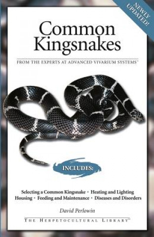 Common Kingsnakes