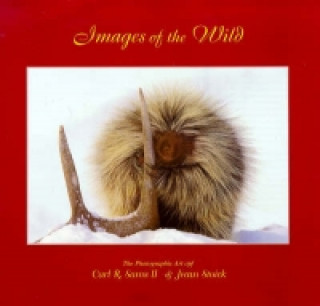 Images of the Wild