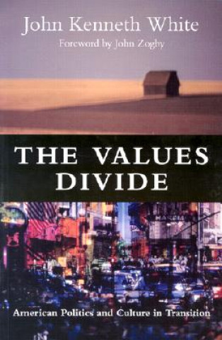 Values Divide