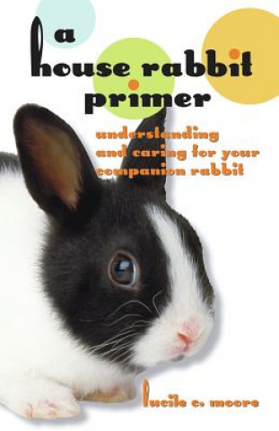 House Rabbit Primer