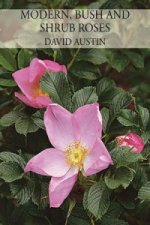 Modern, Bush and Shrub Roses