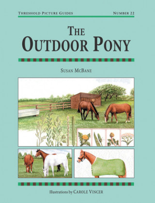 Outdoor Pony