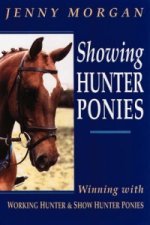 Showing Hunter Ponies