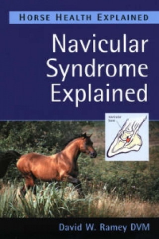 Navicular Syndrome Explained