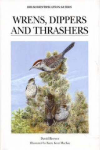 Wrens, Dippers and Thrashers