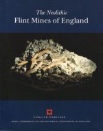 Neolithic Flint Mines in England