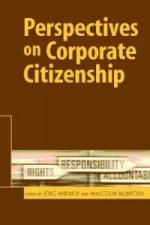 Perspectives on Corporate Citizenship