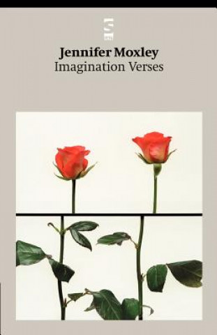 Imagination Verses