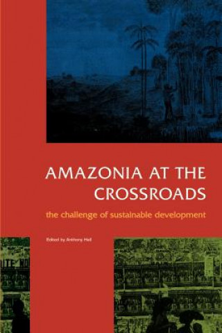 Amazonia at the Crossroads