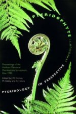 Pteridology in Perspective
