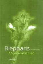 Blepharis (acanthaceae)