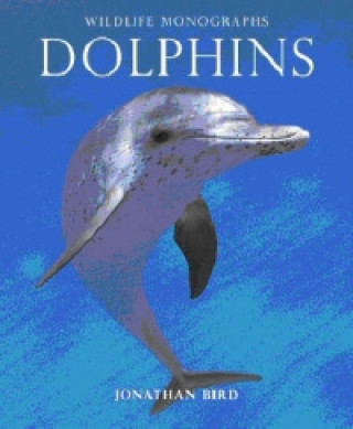 Dolphins