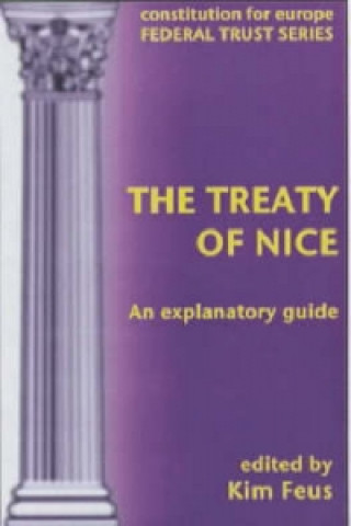Treaty of Nice Explained