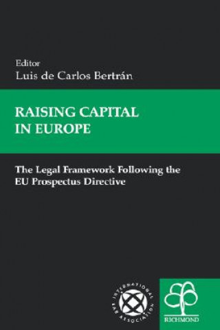 Raising Capital in Europe