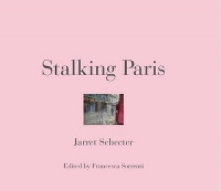 Stalking Paris